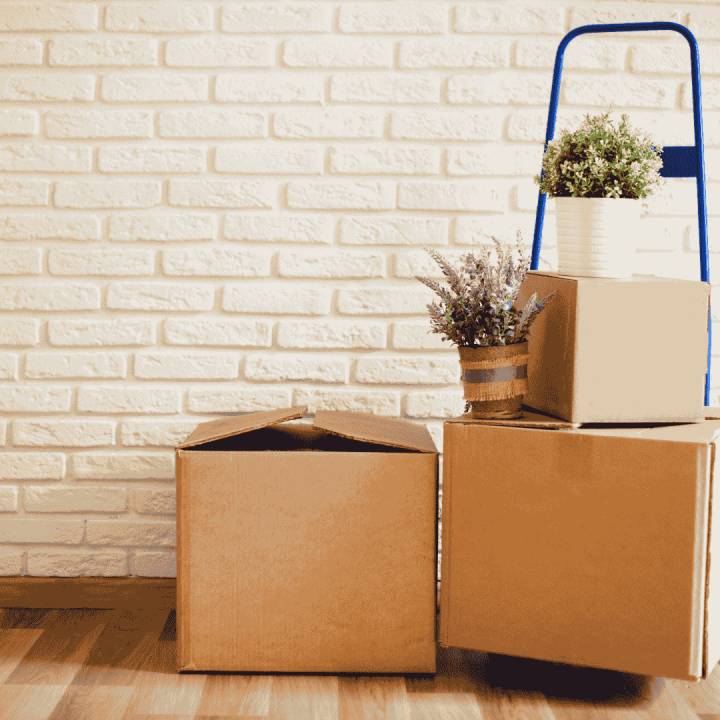 How to Choose the Best Packers and Movers in Hyderabad